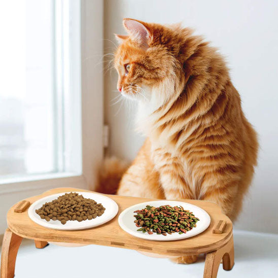 Gamelle surélever pour chat