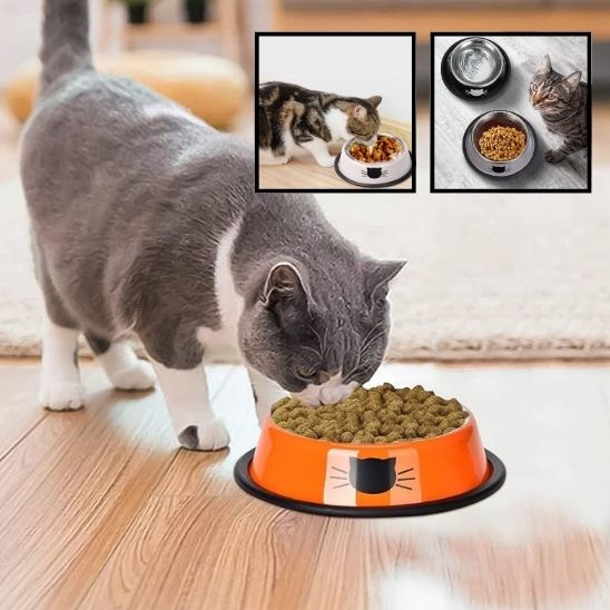 Gamelle pour Chat
