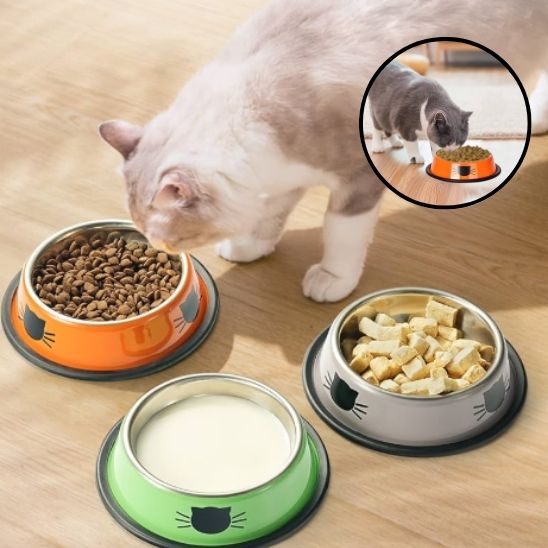 Gamelle pour Chat
