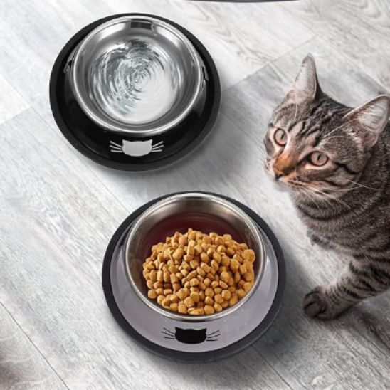 Gamelle pour Chat