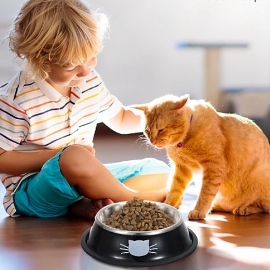 Gamelle pour Chat