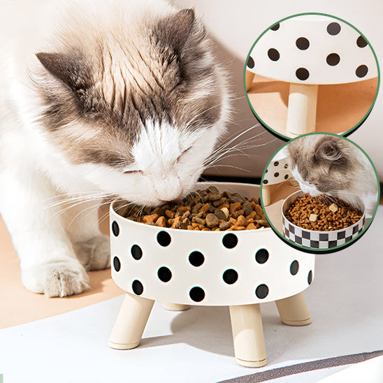 Gamelle Surélevée pour Chat avec Anti Renversement
