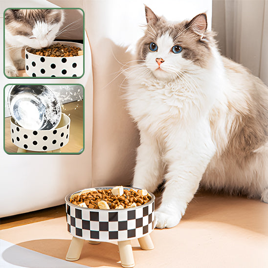 Gamelle Surélevée pour Chat avec Anti Renversement