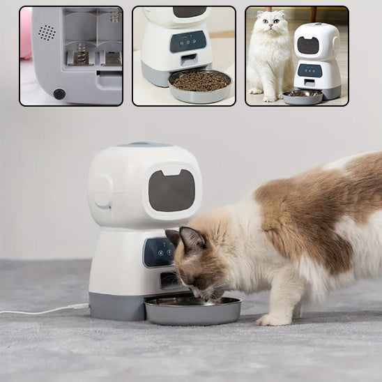 Distributeur Croquette et friandise pour Chat