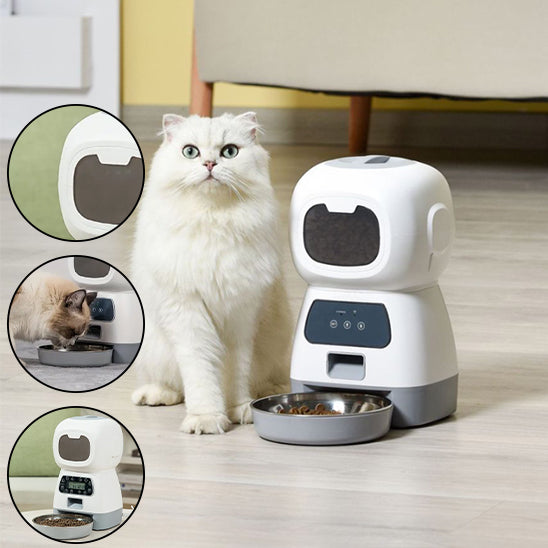 Distributeur Croquette et friandise pour Chat