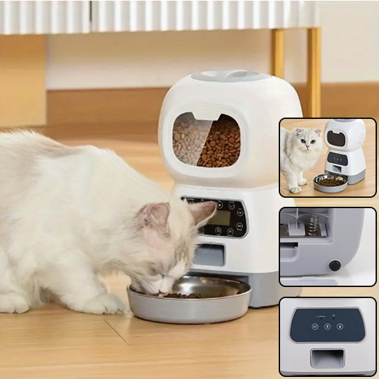 Distributeur Croquette et friandise pour Chat