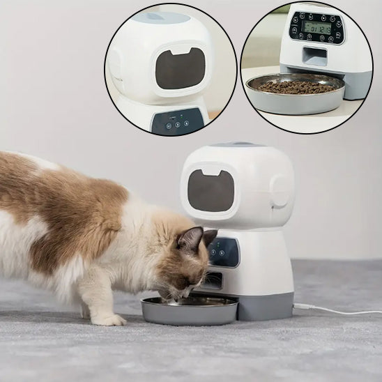 Distributeur Croquette et friandise pour Chat