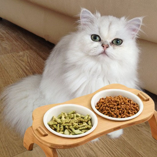 Gamelle surélever pour chat