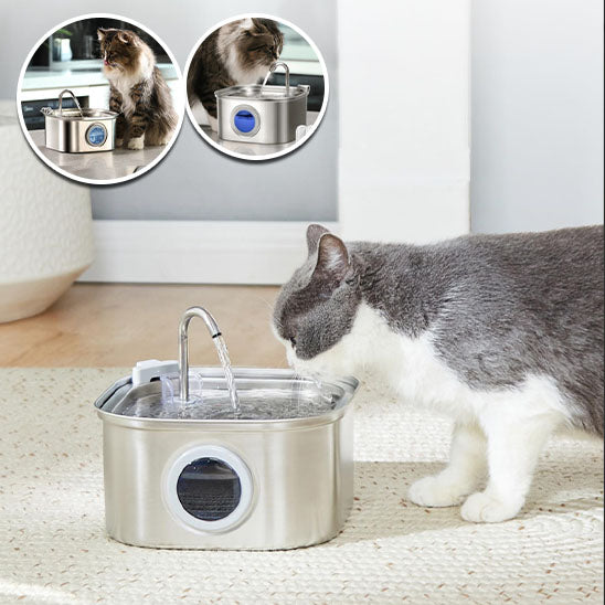 Fontaine à Eau pour Animaux de Compagnie