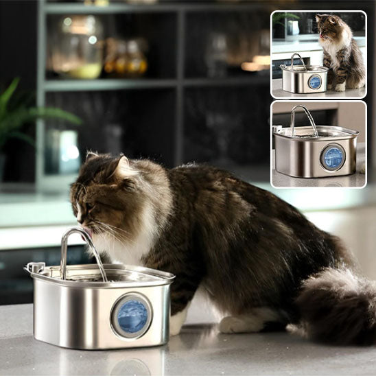 Fontaine à Eau pour Animaux de Compagnie