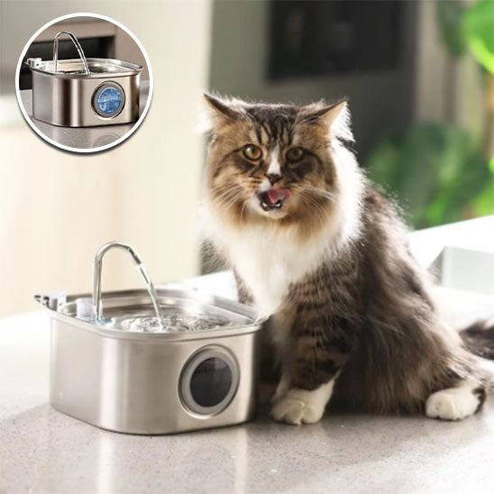 Fontaine à Eau pour Animaux de Compagnie