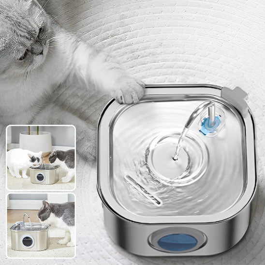 Fontaine à Eau pour Animaux de Compagnie
