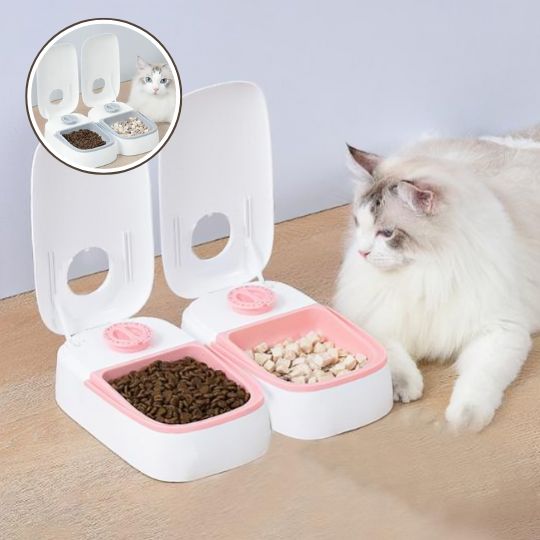 Distributeur automatique de nourriture pour animaux de compagnie