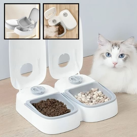 Distributeur automatique de nourriture pour animaux de compagnie