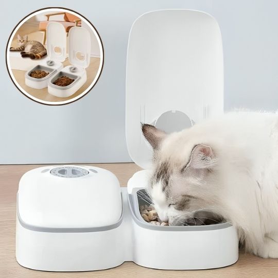 Distributeur automatique de nourriture pour animaux de compagnie