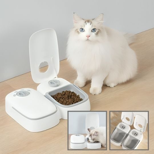 Distributeur automatique de nourriture pour animaux de compagnie