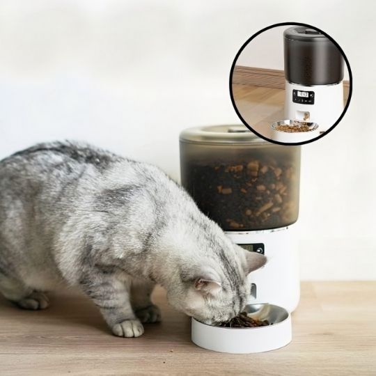 Distributeur Croquettes Chat Automatique 4 L,