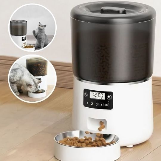 Distributeur Croquettes Chat Automatique 4 L,