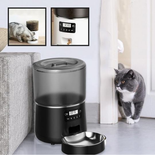 Distributeur Croquettes Chat Automatique 4 L,