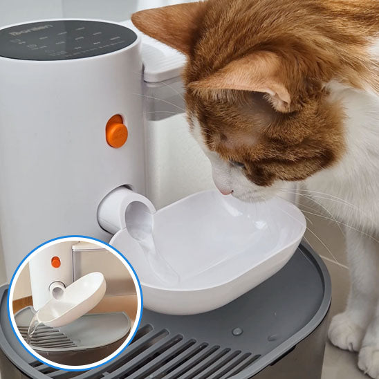 fontaine a eau pour chat