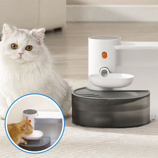 fontaine a eau pour chat