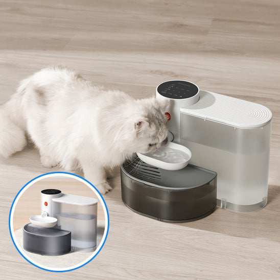 fontaine a eau pour chat