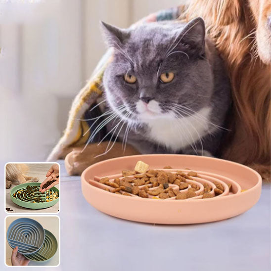 Gamelle anti glouton chat