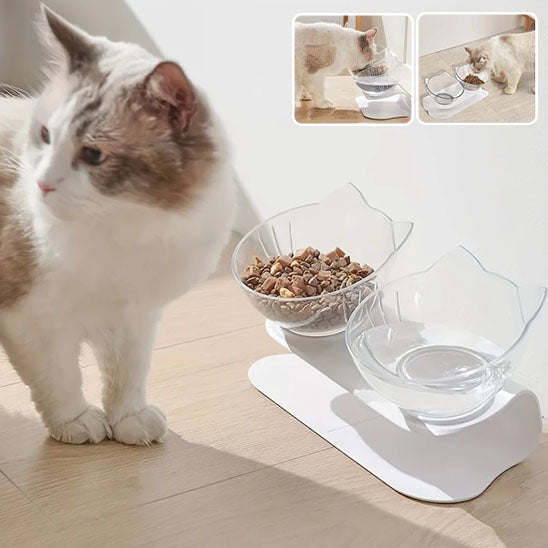 Double gamelle pour chats à visage plat
