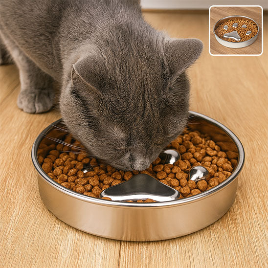 Gamelle Anti Glouton pour Chat
