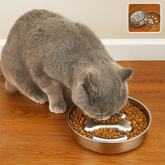 Gamelle Anti Glouton pour Chat