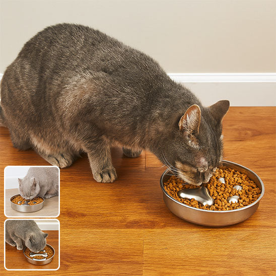 Gamelle Anti Glouton pour Chat