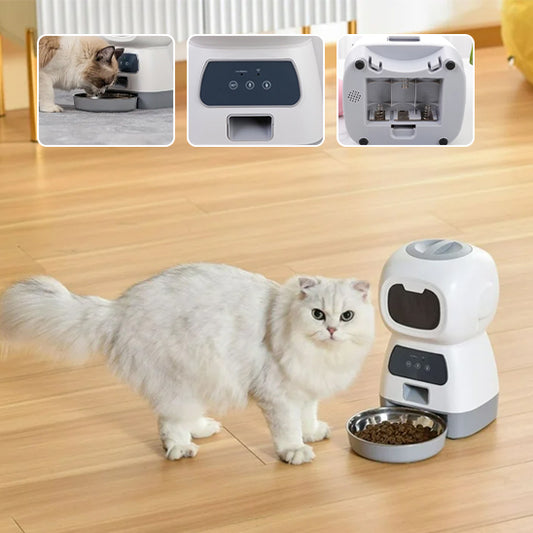 Distributeur Croquette et friandise pour Chat