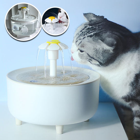 Fontaine À Eau Pour Chat