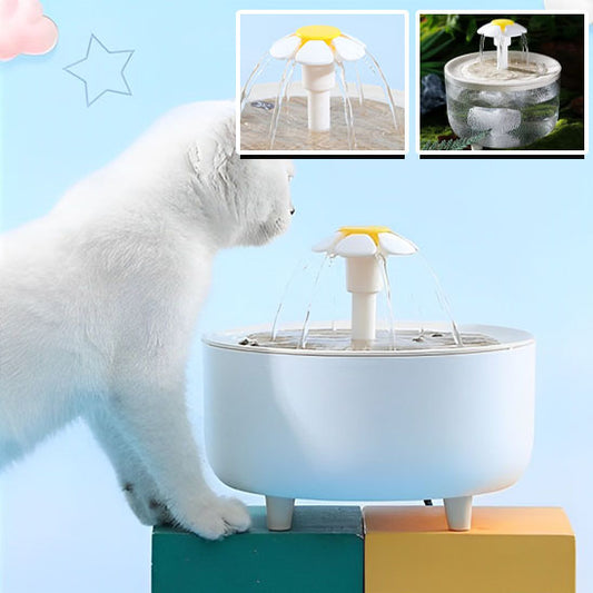 Fontaine À Eau Pour Chat