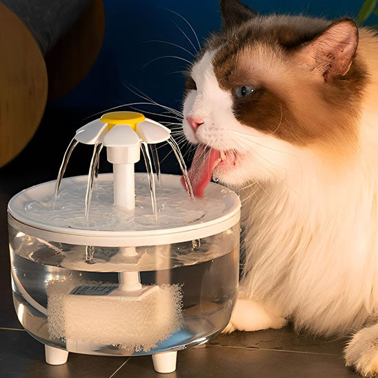Fontaine À Eau Pour Chat