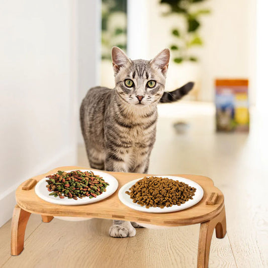 Gamelle surélever pour chat