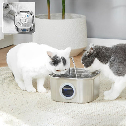 Fontaine à Eau pour Animaux de Compagnie