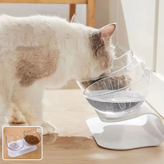 Double gamelle pour chats à visage plat